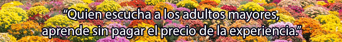 spot_img