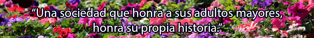 spot_img