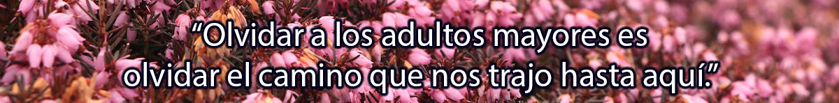spot_img